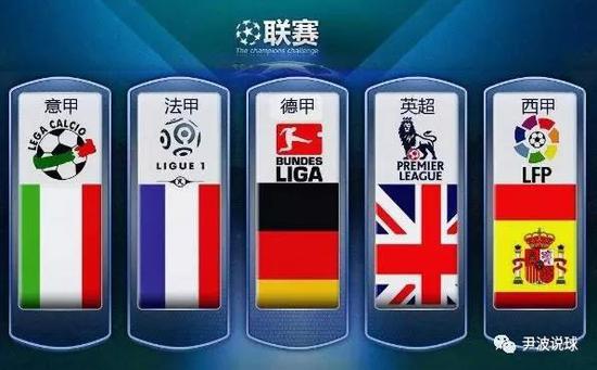 王楚钦职业